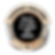 CONTEST BADGES-01.png